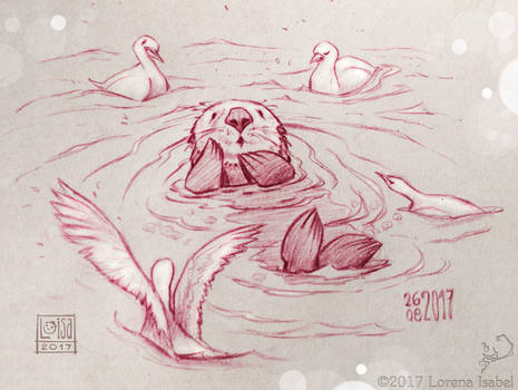 Day 27 - Sea Otter -