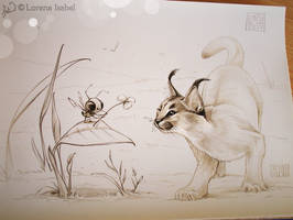 Day 28 - Caracal -