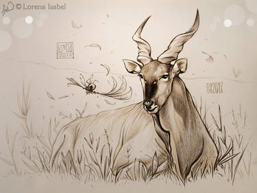 Day 30 - Giant Eland