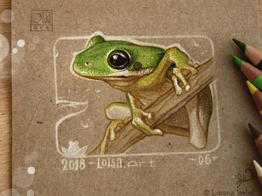 06 - Green tree Frog