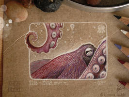 09 - Octopus