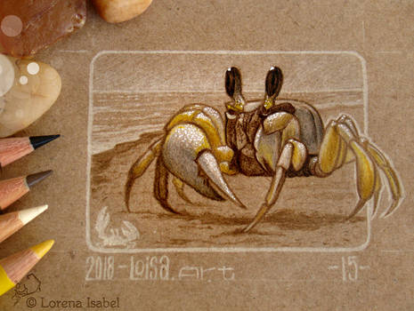 15 - Ghost Crab