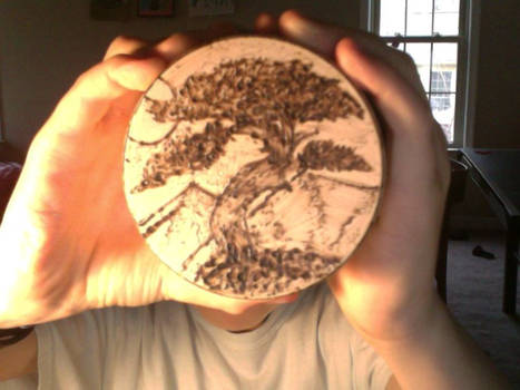 Bonsai Tree Woodburn