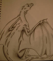 Pern dragon in pencil