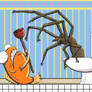 Toilet Spiders