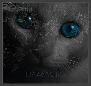 Damaged