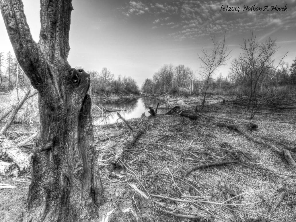 Burnt Rabbit (tree monster) by abstractcamera on DeviantArt