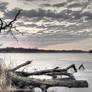 Maffitt Reservoir with dead tree