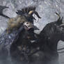Einherjer