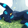 Sleepy Umbreon (ai generated)