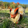 Wild Fluffy in the Wilds