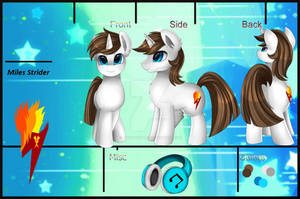 Miles Stider Ref Sheet