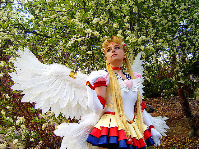 Eternal Sailor Moon Cosplay by WindoftheStars on DeviantArt