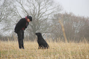 A lovely walk