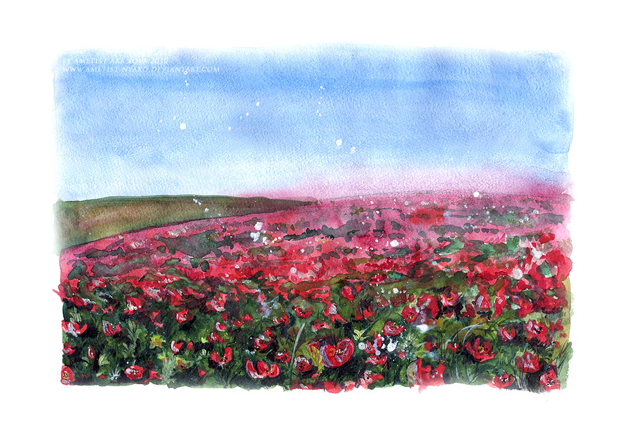 Poppies