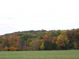 Fall Color on the Farm