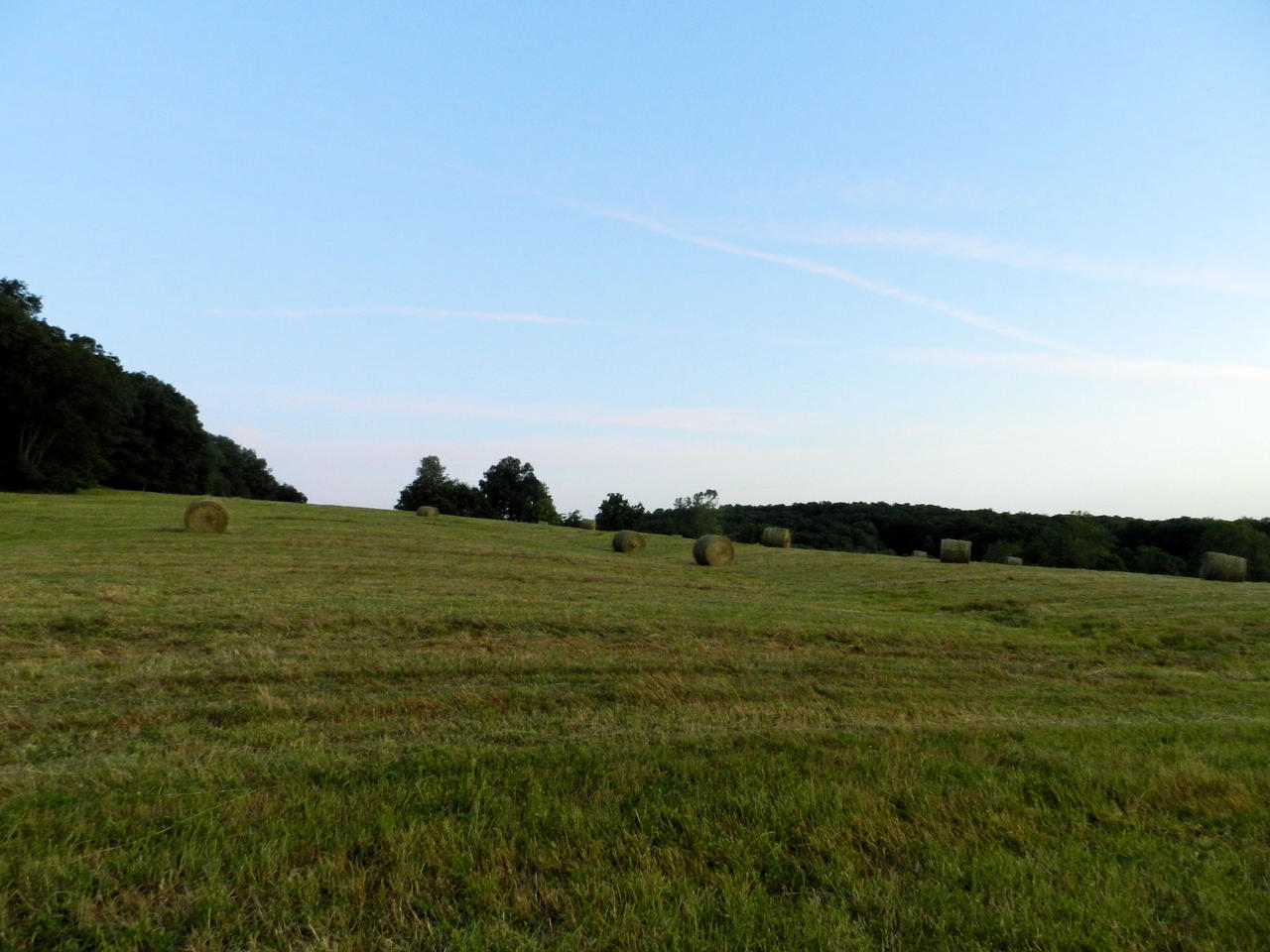 Hilltop Full of Hay