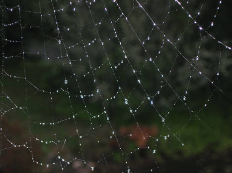 Web of Rain Glitter