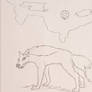 request: adean werewolf transformation p2