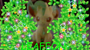 MY LEAFEON