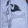 Wonder Woman wip