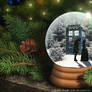 Doctor Who Snow Globe - 2012