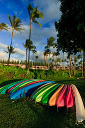 Colorful Kayaks