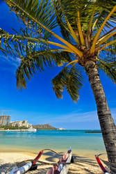 Diamond Head and waikiki