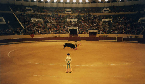 Bullfight