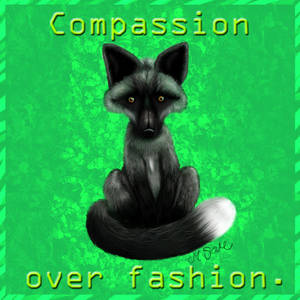 Compassion over fashion