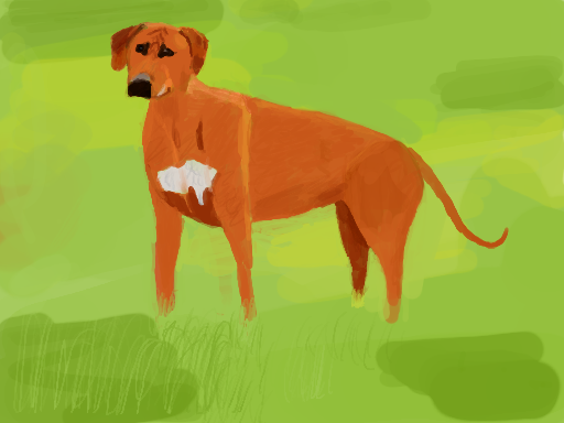 Rhodesian Ridgeback