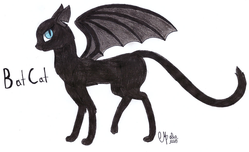 Batcat Drawing BatCat by Shadow-Nights on DeviantArt