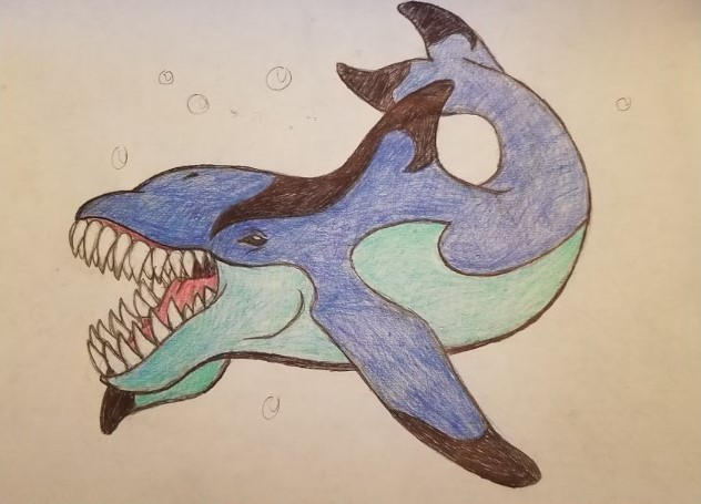 Monster Shellcracker Eden Shellcracker dolphin by geneticmonster03 on DeviantArt