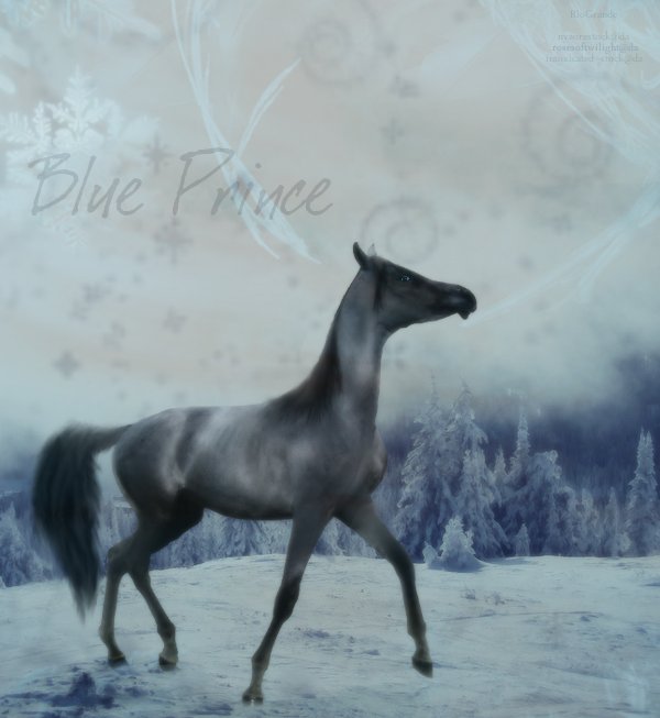 Blue Prince