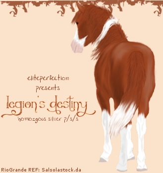 Legion's Destiny