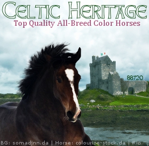 Celtic Heritage Avatar