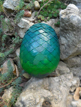 My Award Winning Dragon Egg