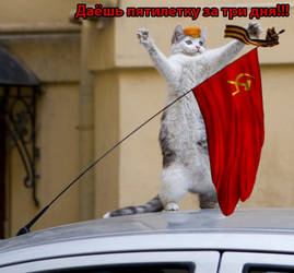 Lenin-cat