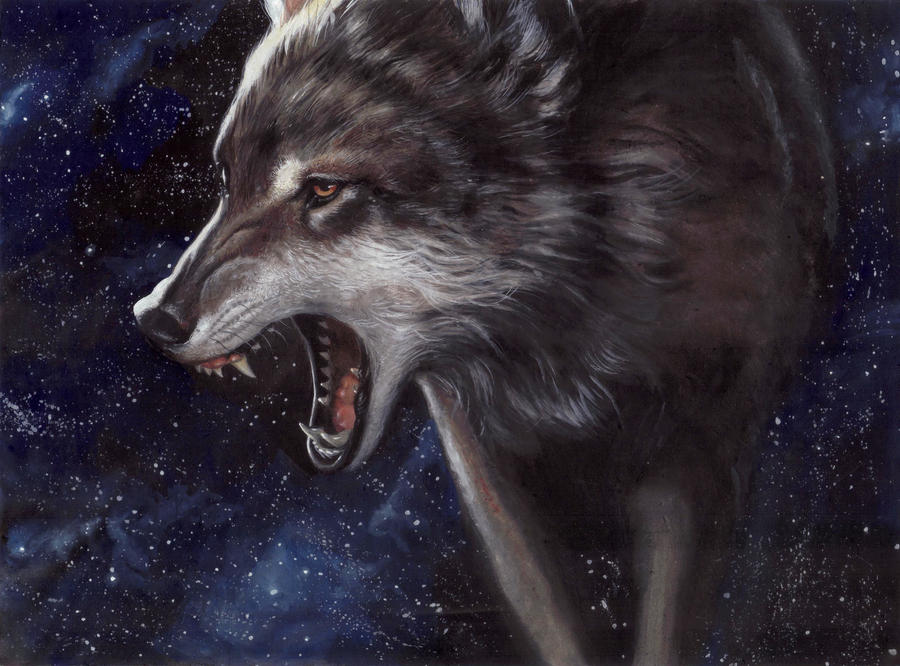 Wolf By Designer356 On DeviantArt