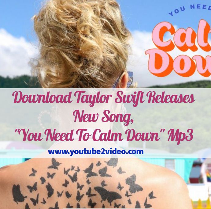 You Need To Calm Down Song Download By Youtubetovideo On