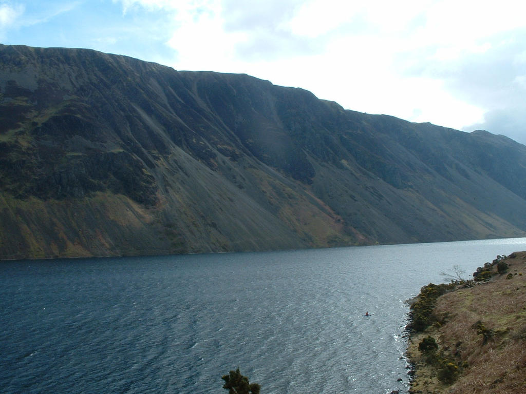 The Screes