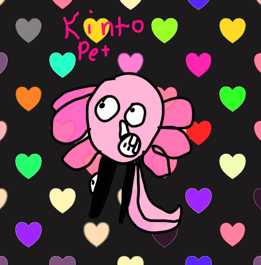 Kinto pet by DAVIDAPERKINS on DeviantArt