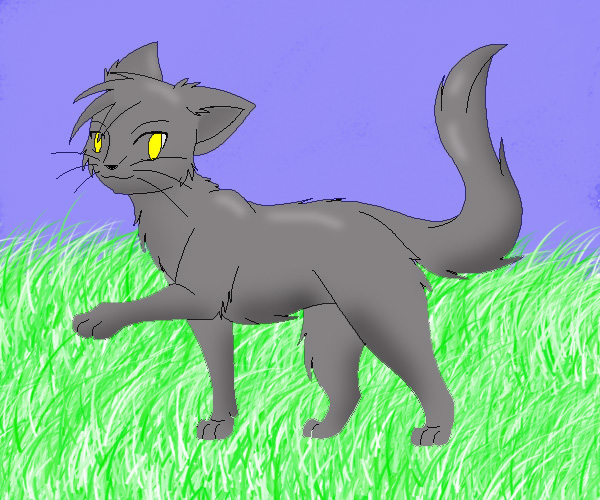 Warrior cat