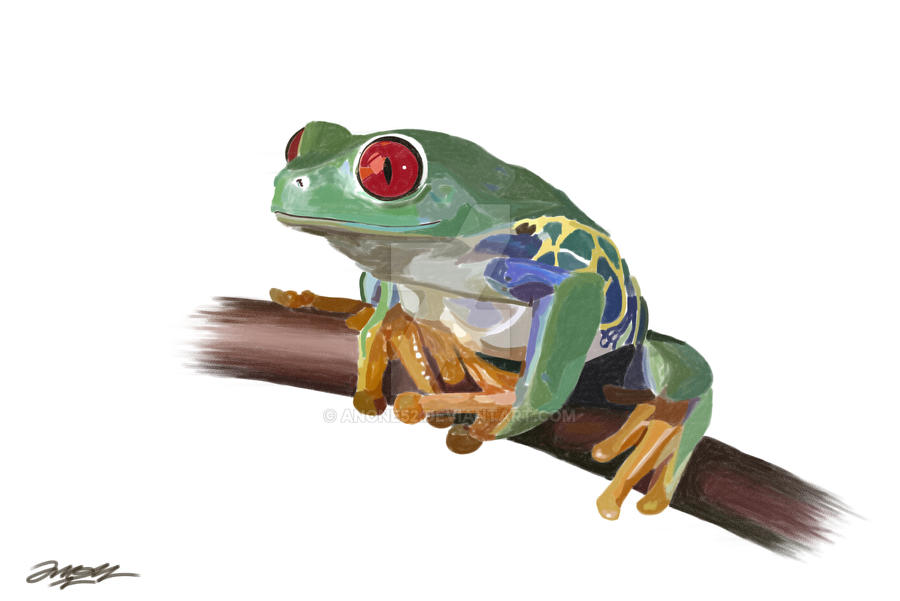 frog 3