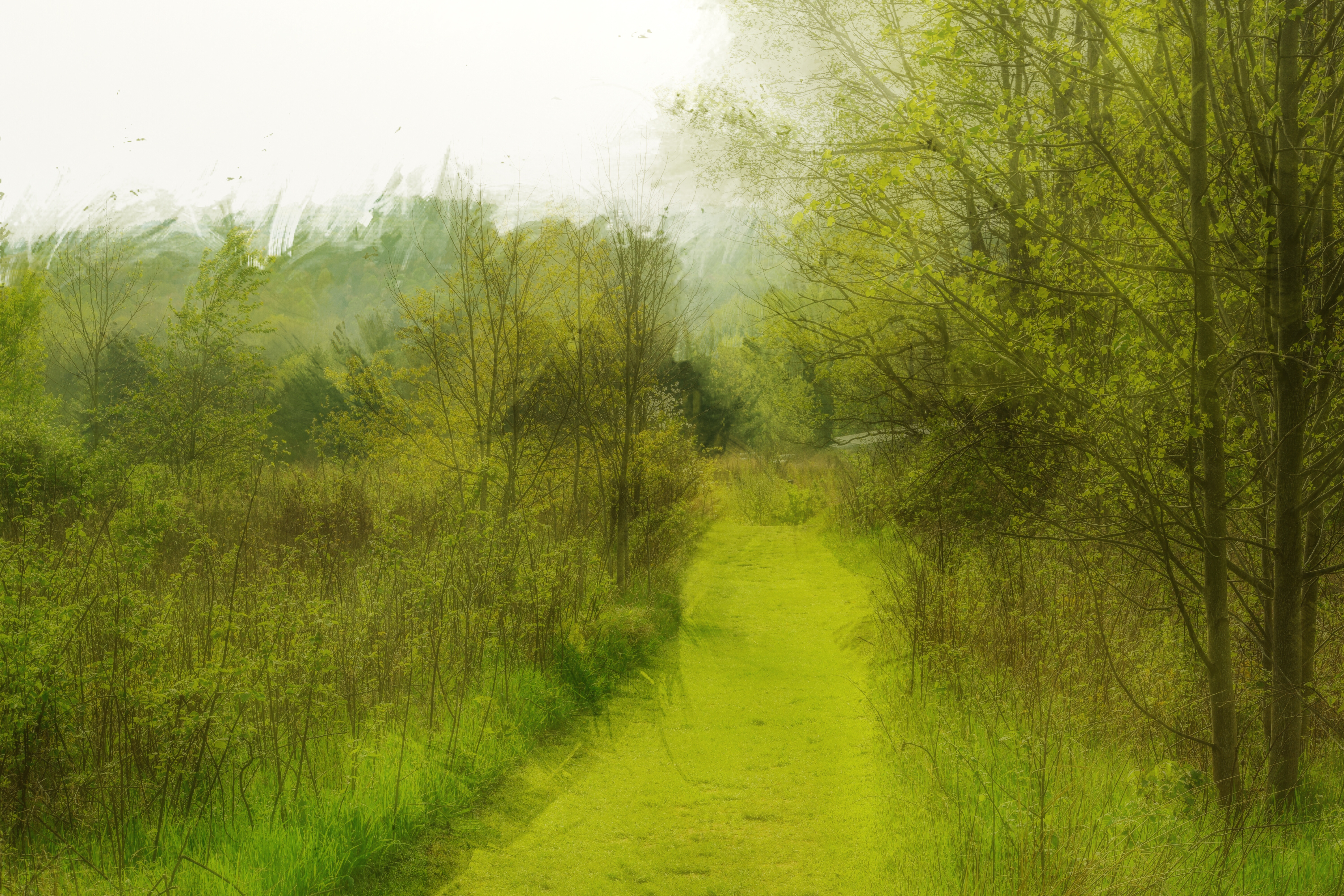 Green Pathway