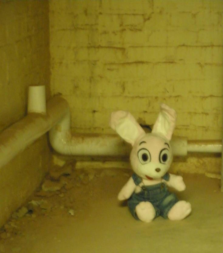 Robbie the Rabbit -Homecoming- by Glacideas on DeviantArt