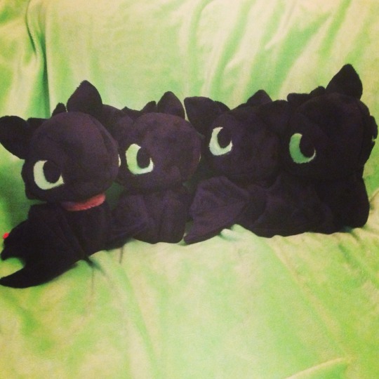 Four More Toothless Palms