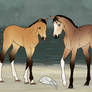 EB: Foal | Accepting Objects