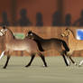 EB: Foal | Foal Inspection