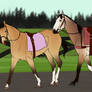 EB: Adult | Accepting A Saddle/Rider
